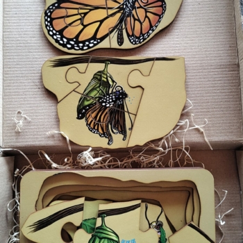 Rompecabeza Metamorfosis